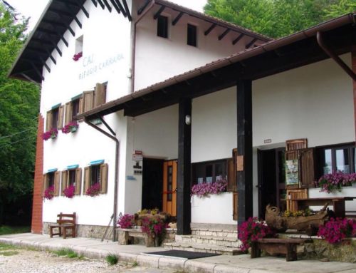 Corso sulla Cinematografia di montagna