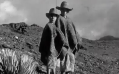 Nel regno degli Incas cover image