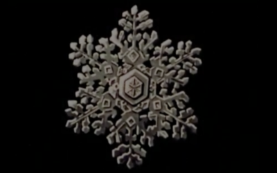 Questa neve cover image