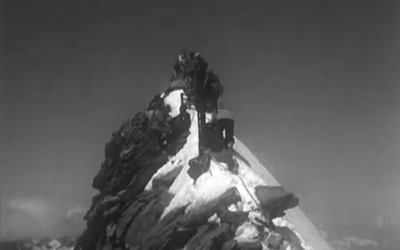 Vita di guida cover image