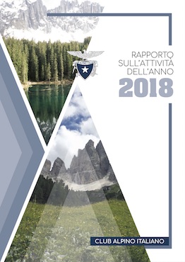 Rapporto Attività 2017