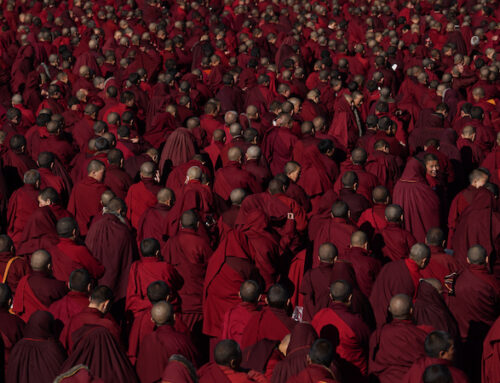 Trento Film Festival, il Premio Cai a ‘Dark Red Forest’