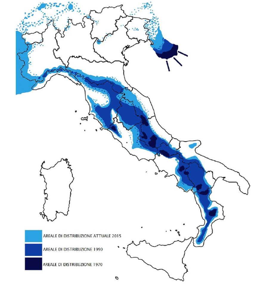 10 - CAI Tutela Ambiente Montano Campania