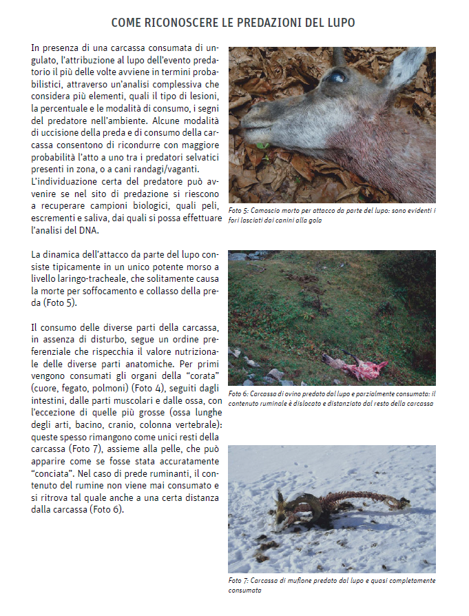 11 - CAI Tutela Ambiente Montano Campania