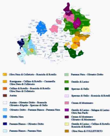 110 - CAI Tutela Ambiente Montano Campania