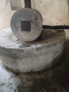 111 - CAI Tutela Ambiente Montano Campania