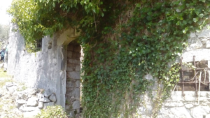 114 - CAI Tutela Ambiente Montano Campania