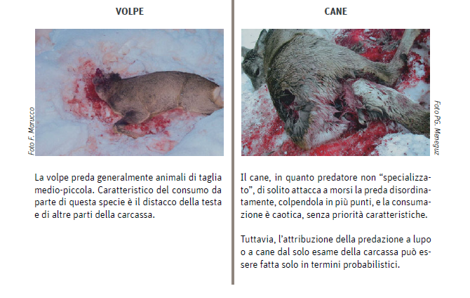 12 - CAI Tutela Ambiente Montano Campania