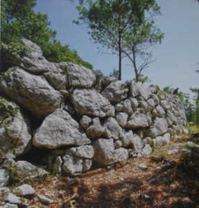 121 - CAI Tutela Ambiente Montano Campania