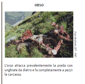 13 - CAI Tutela Ambiente Montano Campania