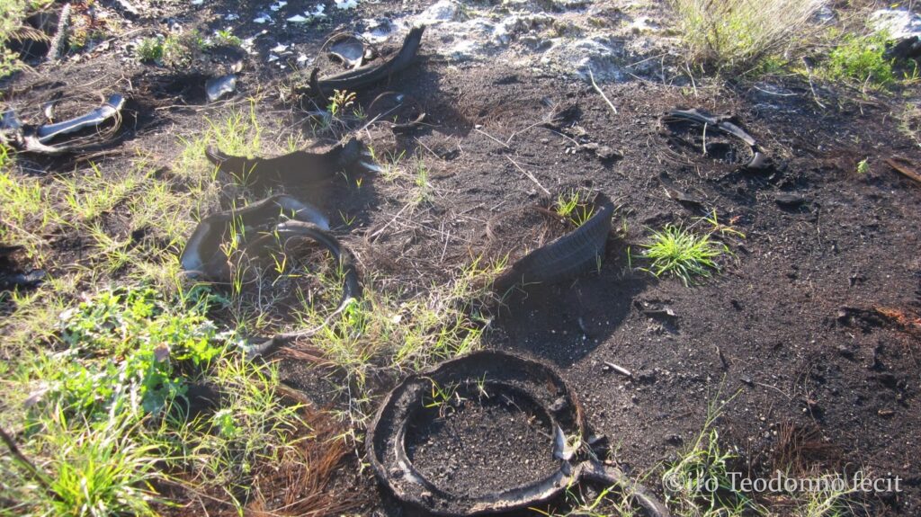 13d tumulo bruciato 1 - CAI Tutela Ambiente Montano Campania