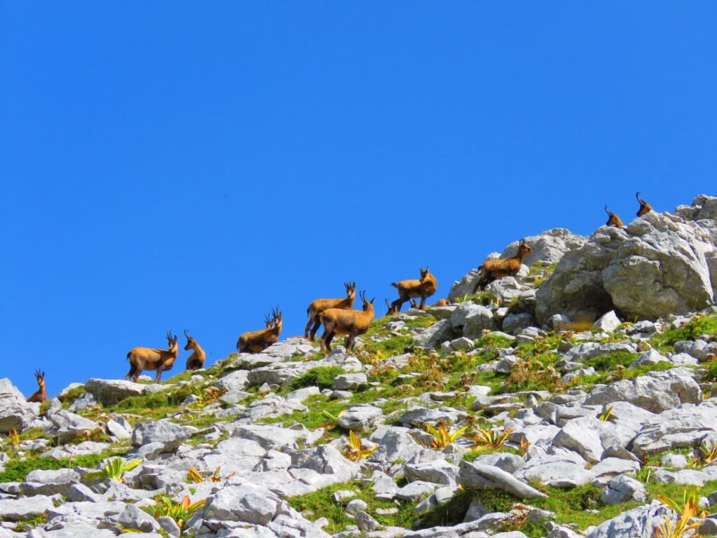 22 - CAI Tutela Ambiente Montano Campania