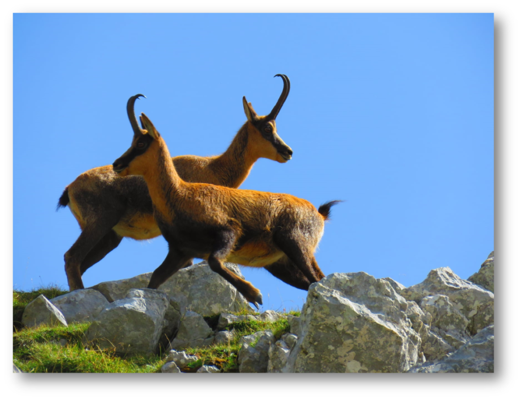 23 - CAI Tutela Ambiente Montano Campania