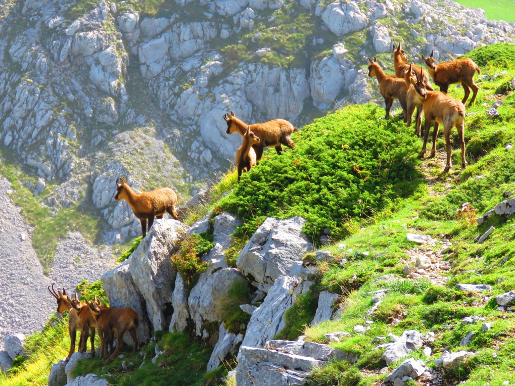 25 - CAI Tutela Ambiente Montano Campania