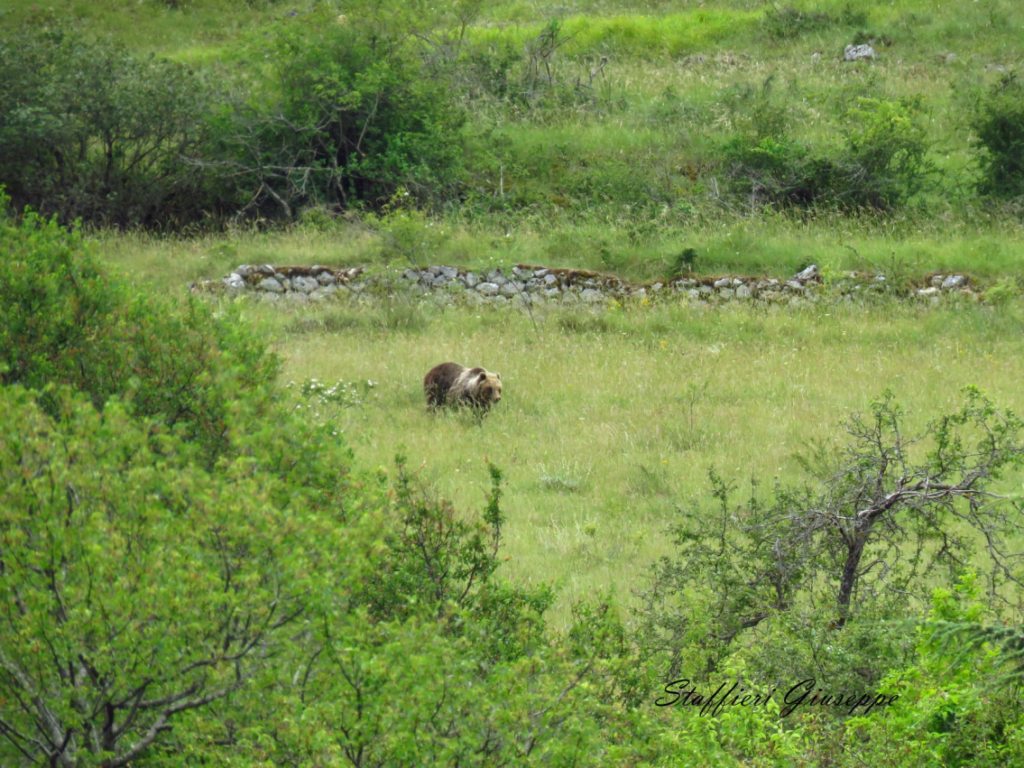 28 - CAI Tutela Ambiente Montano Campania