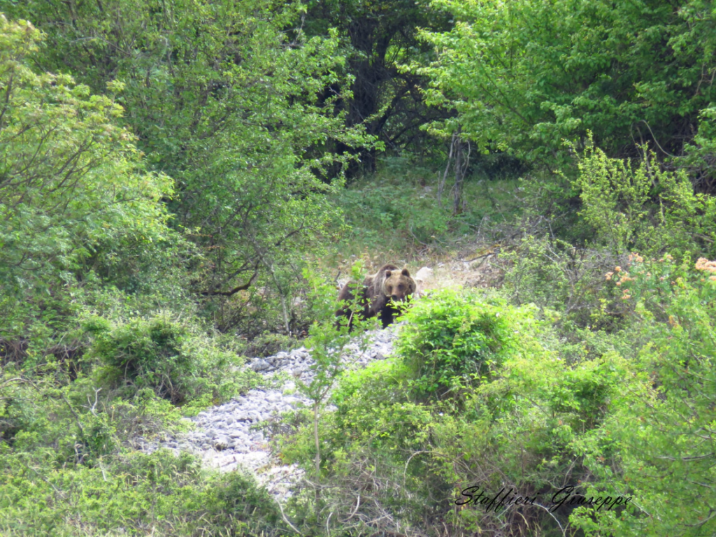 30 - CAI Tutela Ambiente Montano Campania