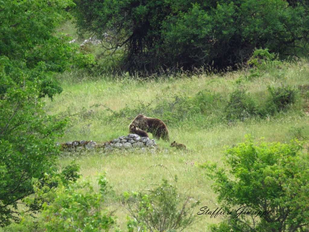 34 - CAI Tutela Ambiente Montano Campania