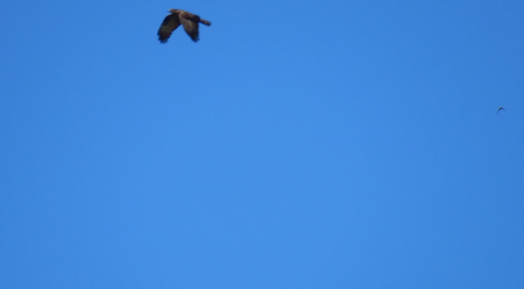 37 - CAI Tutela Ambiente Montano Campania