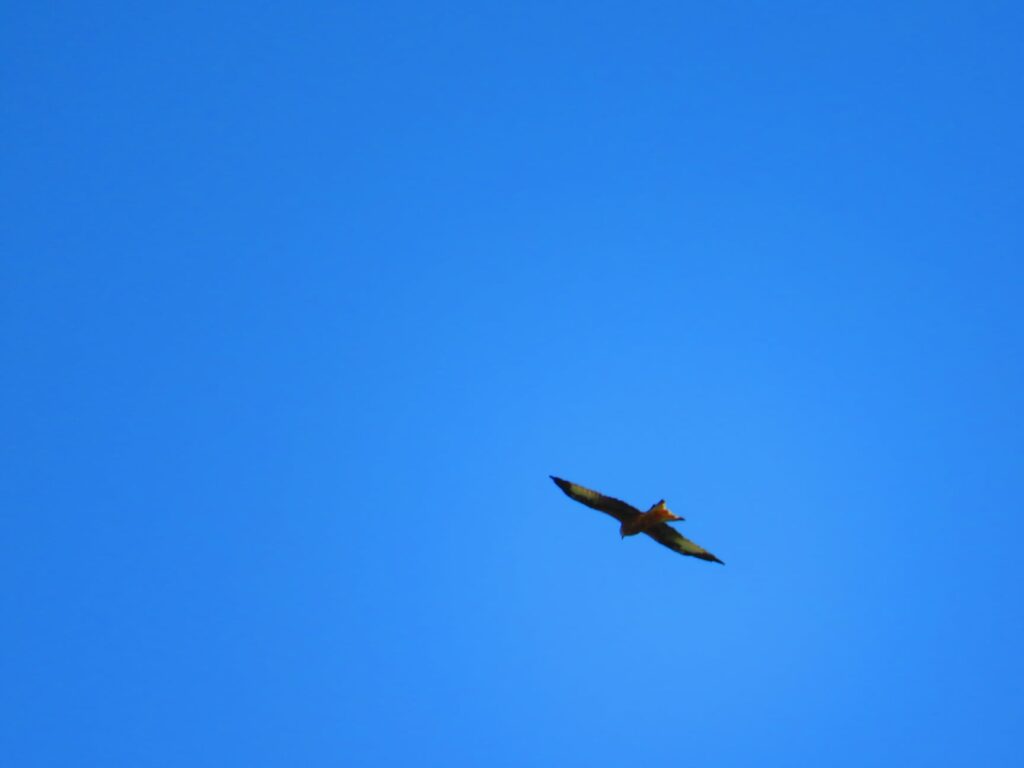 38 - CAI Tutela Ambiente Montano Campania