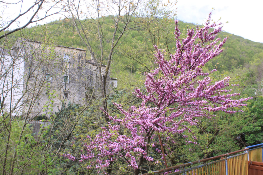 40 - CAI Tutela Ambiente Montano Campania