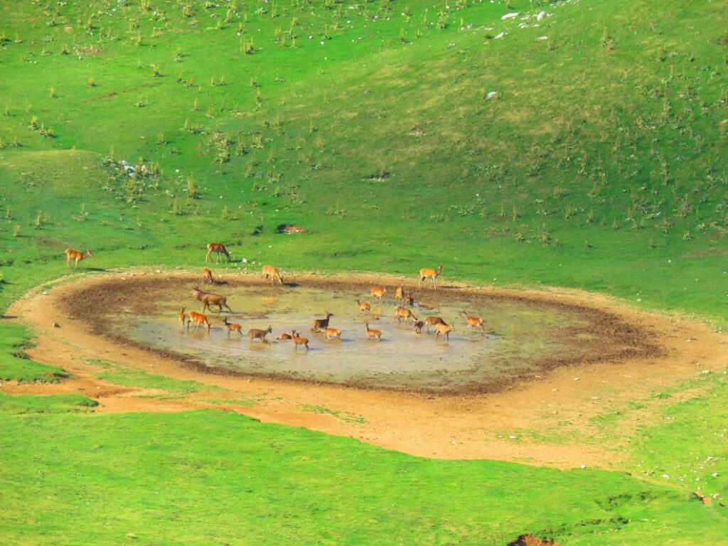 45 - CAI Tutela Ambiente Montano Campania