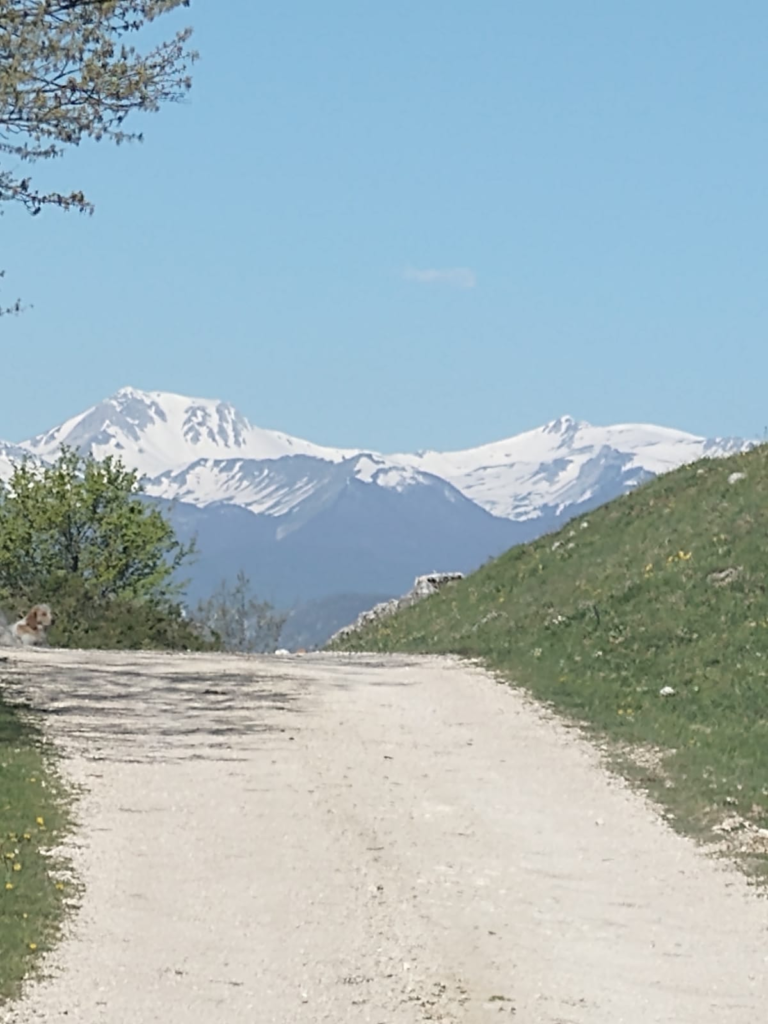 49 - CAI Tutela Ambiente Montano Campania