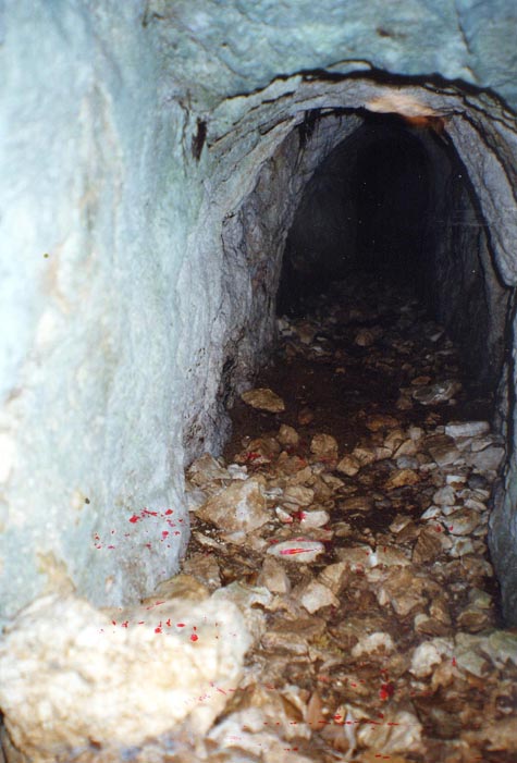 51 - CAI Tutela Ambiente Montano Campania