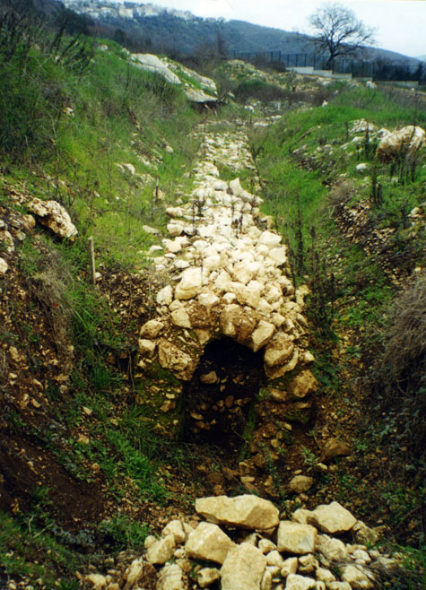 52 - CAI Tutela Ambiente Montano Campania