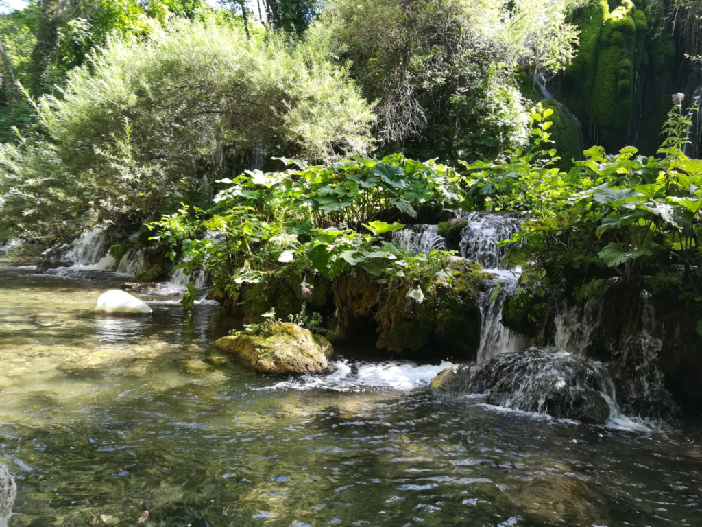 56 - CAI Tutela Ambiente Montano Campania
