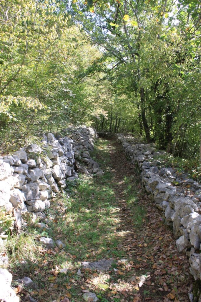 65 - CAI Tutela Ambiente Montano Campania