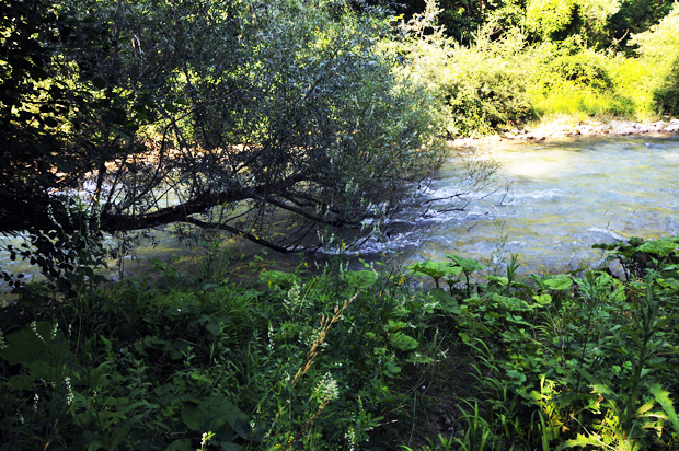 75 - CAI Tutela Ambiente Montano Campania