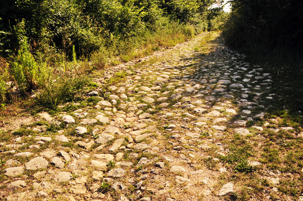 78 - CAI Tutela Ambiente Montano Campania