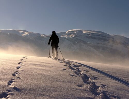 Il messaggio della montagna