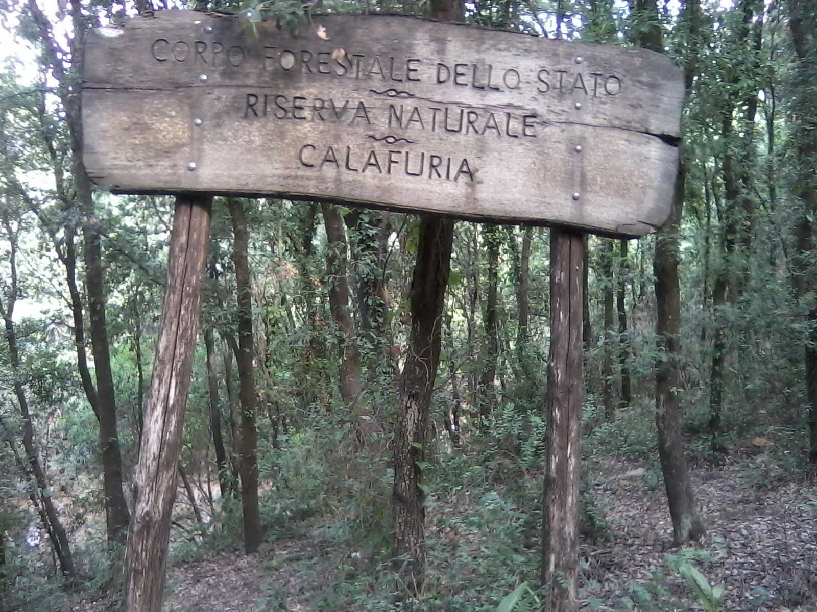 SIC Calafuria 1