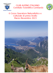 Screenshot 2023 01 27 alle 15.15.27 218x300 1
