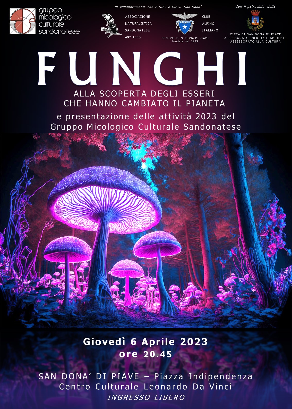Locandina funghi