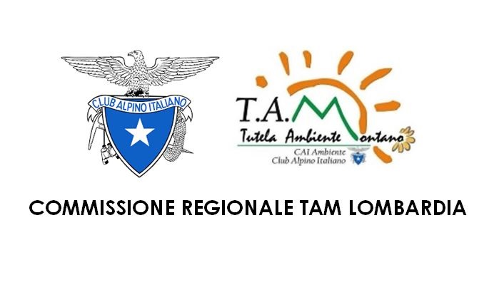 Logo CAITAM Lom 1