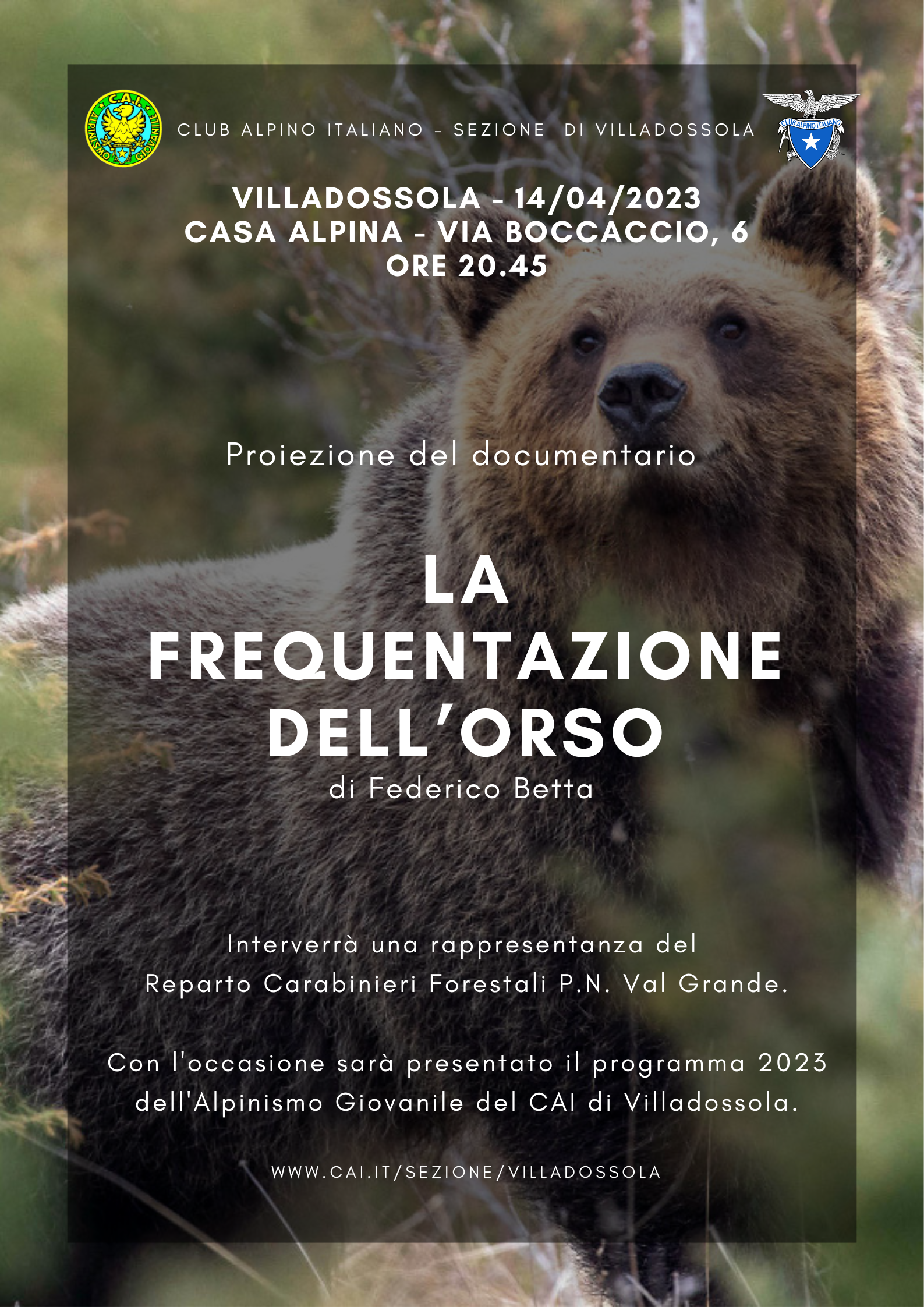 Semplice Con bordo Immagine Droga Sensibilizzazione Poster 1