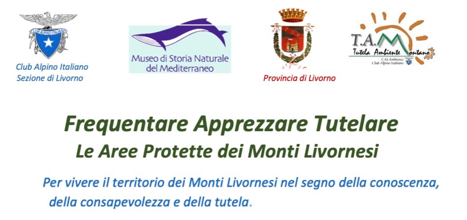testata evento