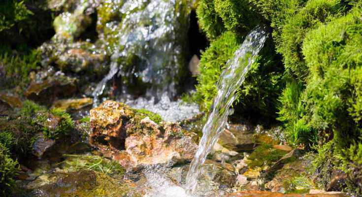 sorgente acqua 735x400 1