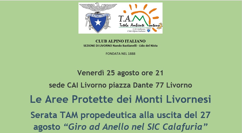 serata tam
