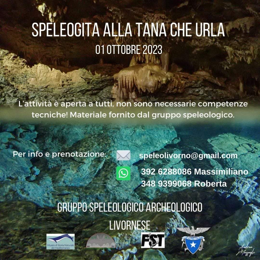 speleogita