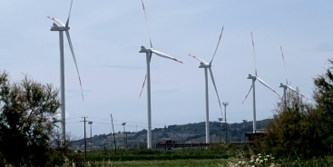 Transizione Capro Espiatorio