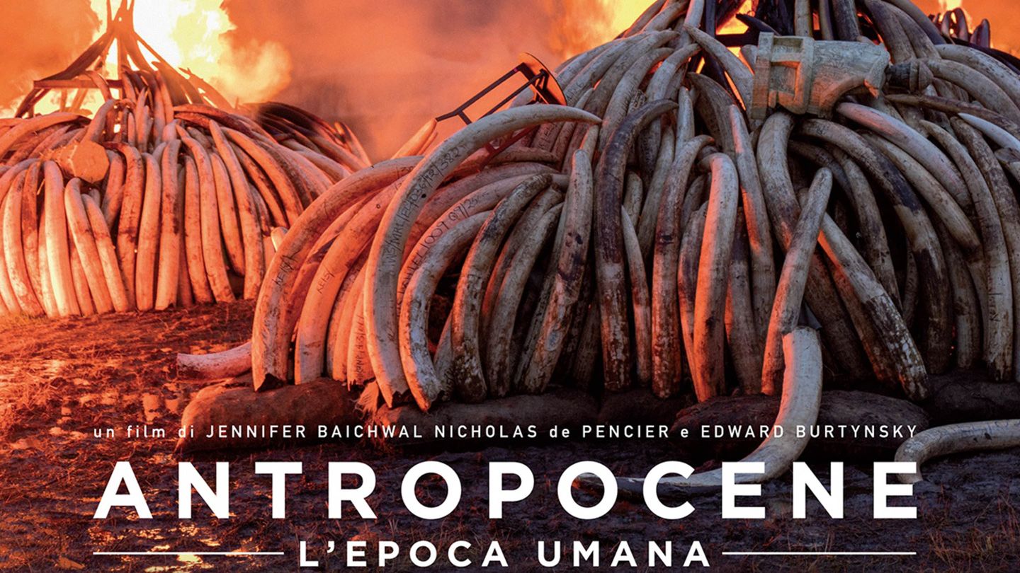 antropocene