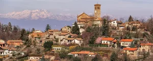 fortunago