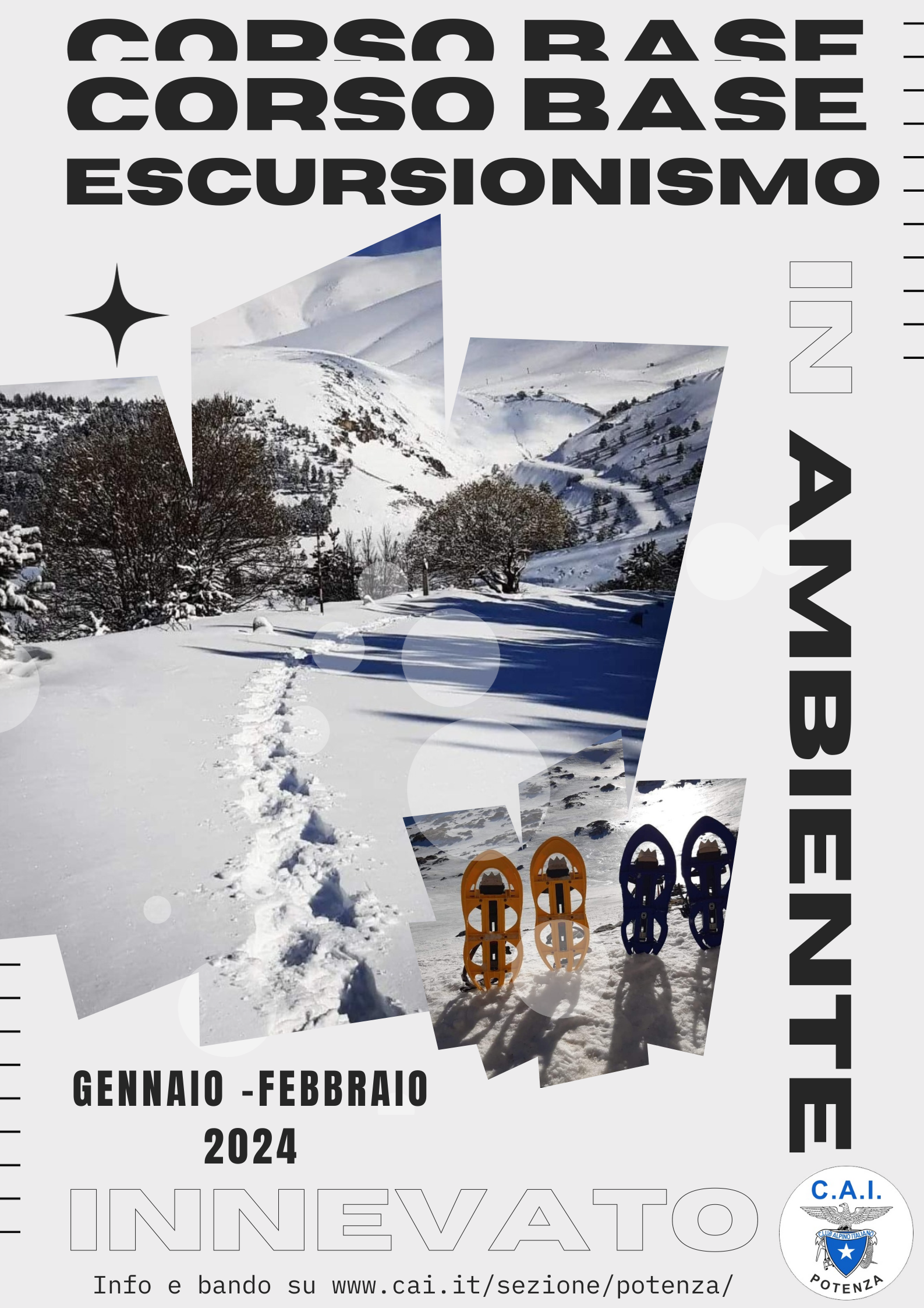 Bianco e nero poster per sport con foto di sciatore 20231128 120049 0000