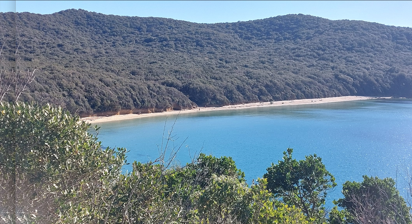 Cala Violina