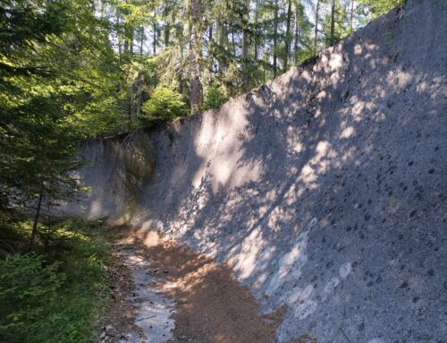 Le Associazioni di protezione ambientale confermano la loro ferma opposizione alla pista da bob da realizzare a Cortina