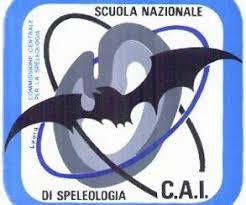 Logo SNS