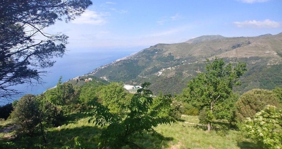 S.Croce